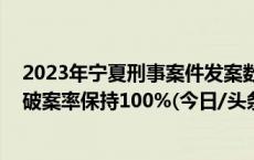 2023年宁夏刑事案件发案数同比下降12.1% 八类刑事案件破案率保持100%(今日/头条)