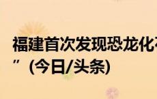 福建首次发现恐龙化石并命名为“奇异福建龙”(今日/头条)