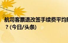 航司客票退改签手续费平均降百元 春节出行怎么买票更划算？(今日/头条)