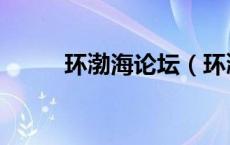 环渤海论坛（环渤海新闻网首页）