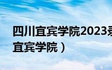 四川宜宾学院2023录取分数线是多少（四川宜宾学院）