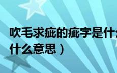 吹毛求疵的疵字是什么意思（吹毛求疵的疵是什么意思）