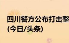 四川警方公布打击整治网络谣言4起典型案例(今日/头条)