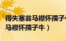 得失塞翁马襟怀孺子牛是什么字体（得失塞翁马襟怀孺子牛）