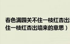 春色满园关不住一枝红杏出墙来的意思翻译（春色满园关不住一枝红杏出墙来的意思）