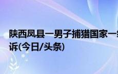 陕西凤县一男子捕猎国家一级重点保护野生动物林麝，被公诉(今日/头条)