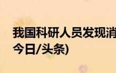 我国科研人员发现消失百年的固着性淡水螺(今日/头条)