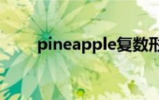 pineapple复数形式（pineapple）