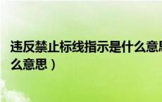 违反禁止标线指示是什么意思 视频（违反禁止标线指示是什么意思）