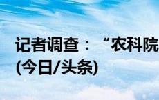 记者调查：“农科院”食品有多少是真冠名？(今日/头条)