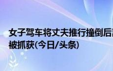 女子驾车将丈夫推行撞倒后离开，河北昌黎警方：嫌疑人已被抓获(今日/头条)