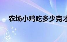 农场小鸡吃多少克才能下蛋（农场小鸡）