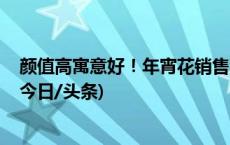 颜值高寓意好！年宵花销售渐旺 蝴蝶兰、长寿花等受青睐(今日/头条)