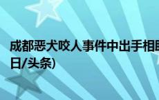 成都恶犬咬人事件中出手相助环卫工获“见义勇为”称号(今日/头条)