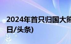 2024年首只归国大熊猫“叻叻”抵达成都(今日/头条)