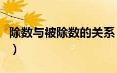 除数与被除数的关系（被除数除数和商的关系）