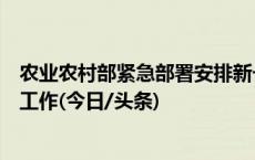 农业农村部紧急部署安排新一轮低温雨雪冰冻天气防范应对工作(今日/头条)