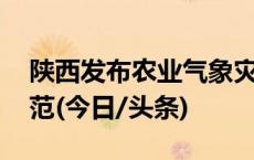 陕西发布农业气象灾害风险预警 提醒加强防范(今日/头条)