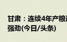 甘肃：连续4年产粮逾1200吨 新兴产业增势强劲(今日/头条)