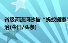 省级河流河砂被“蚂蚁搬家”方式盗采 海南检察机关督促整治(今日/头条)