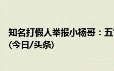 知名打假人举报小杨哥：五常大米是假的！小杨哥连夜回应(今日/头条)