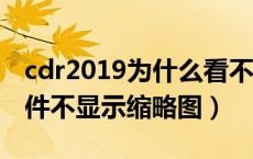 cdr2019为什么看不到缩略图（为什么cdr文件不显示缩略图）