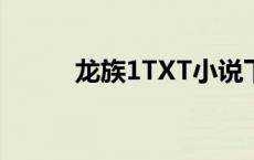 龙族1TXT小说下载（龙族1txt）