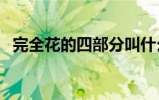 完全花的四部分叫什么（完全花的四部分）