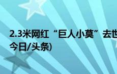 2.3米网红“巨人小莫”去世，家人拒领骨灰？村委会回应(今日/头条)