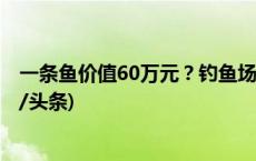 一条鱼价值60万元？钓鱼场变“赌场” 警方抓获86人(今日/头条)