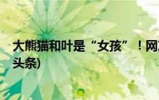 大熊猫和叶是“女孩”！网友：和叶花花原来是姐妹(今日/头条)