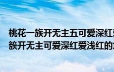 桃花一族开无主五可爱深红爱浅红是哪位诗人写的（桃花一簇开无主可爱深红爱浅红的意思）