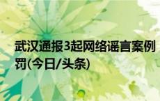 武汉通报3起网络谣言案例，一网民编造地质灾害谣言被处罚(今日/头条)