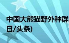 中国大熊猫野外种群总量增长至近1900只(今日/头条)