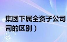 集团下属全资子公司（集团分公司和全资子公司的区别）