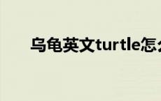 乌龟英文turtle怎么读音（乌龟英文）