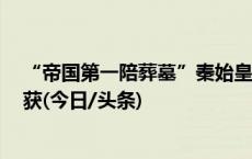 “帝国第一陪葬墓”秦始皇帝陵1号陪葬墓取得重大考古收获(今日/头条)