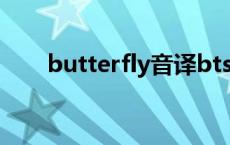 butterfly音译bts（butterfly音译）