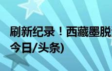 刷新纪录！西藏墨脱海拔4415米处发现金猫(今日/头条)