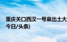 重庆关口西汉一号墓出土大量植物遗存 为葬俗研究添实证(今日/头条)