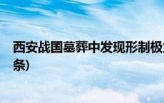 西安战国墓葬中发现形制极为罕见镂空蟠螭纹铜镜(今日/头条)