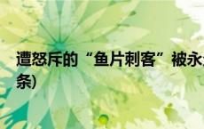 遭怒斥的“鱼片刺客”被永久拉黑，公安介入调查(今日/头条)