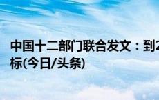 中国十二部门联合发文：到2030年达到全面消除麻风危害目标(今日/头条)