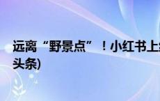 远离“野景点”！小红书上线“风险地点”举报功能(今日/头条)