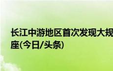 长江中游地区首次发现大规模商代晚期墓地 已发掘墓葬98座(今日/头条)