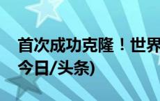 首次成功克隆！世界屋脊濒危牛在我国诞生(今日/头条)