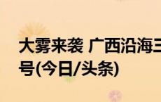 大雾来袭 广西沿海三市发布大雾橙色预警信号(今日/头条)