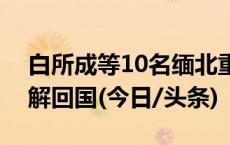 白所成等10名缅北重大犯罪嫌疑人被成功押解回国(今日/头条)