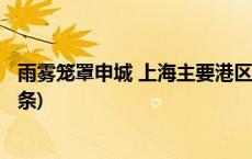 雨雾笼罩申城 上海主要港区数十艘航船出入境受阻(今日/头条)