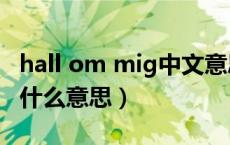 hall om mig中文意思是什么（hall om mig什么意思）